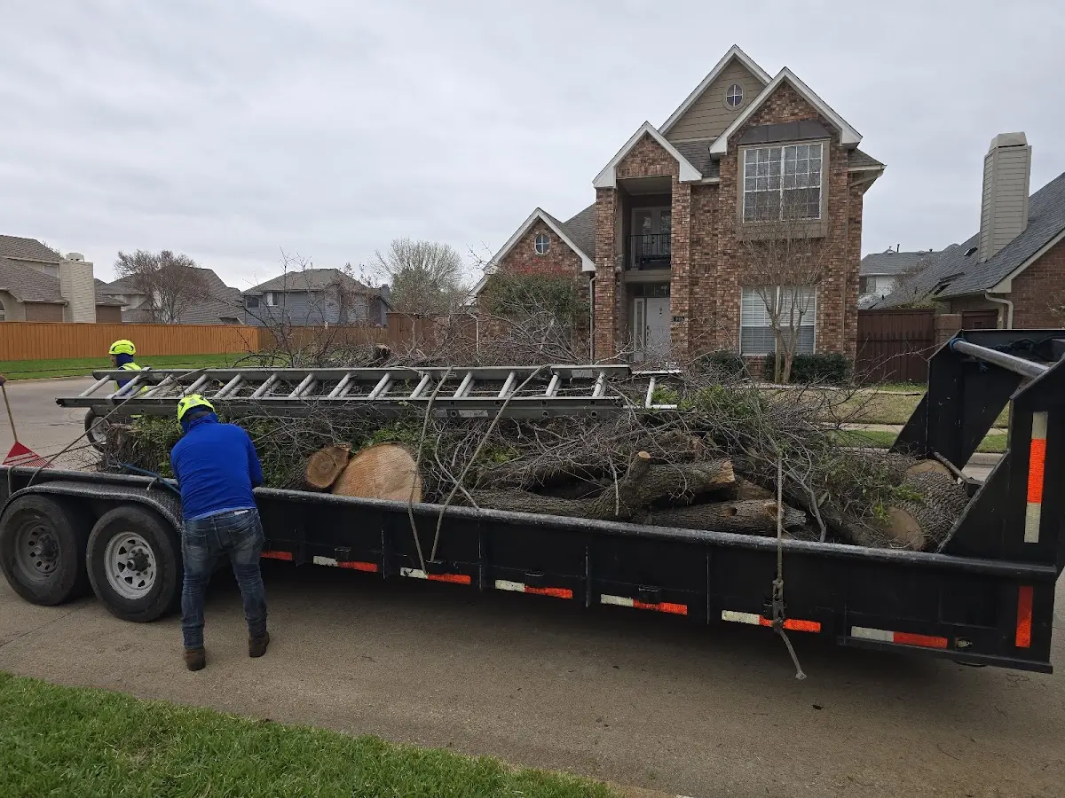Expert Lot Clearing with proper safety equipment in Lenni